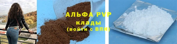 стаф Новодвинск