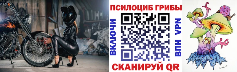 что такое наркотик  Ярославль  Галлюциногенные грибы Magic Shrooms 