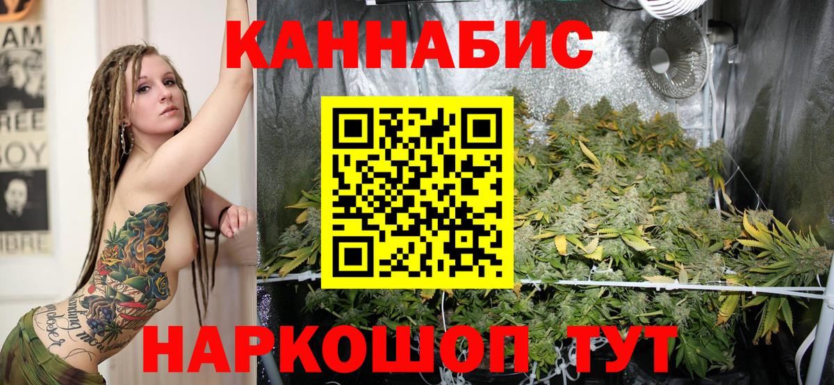 Конопля AK-47  Вход с VPN  Канабис гибрид  Ярославль  МАРИХУАНА VHQ 
